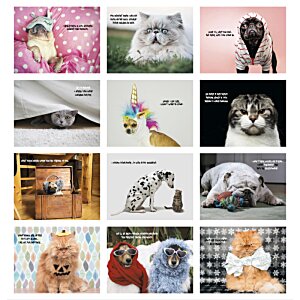 Additional Image 1 - a screenshot of a computer