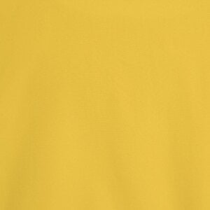 Additional Image 3 - a yellow shirt with a black stripe