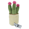Additional Thumbnail Image 1 - a cactus in a pot