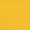 Additional Thumbnail Image 2 - a yellow surface with a black stripe