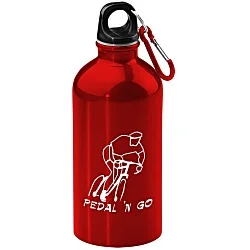 Carabiner Stainless Steel Water Bottle - 16 oz.