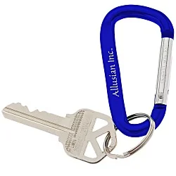 Carabiner Keychain
