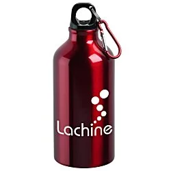 Aluminum Water Bottle with Carabiner - 16 ounces - 24 hr