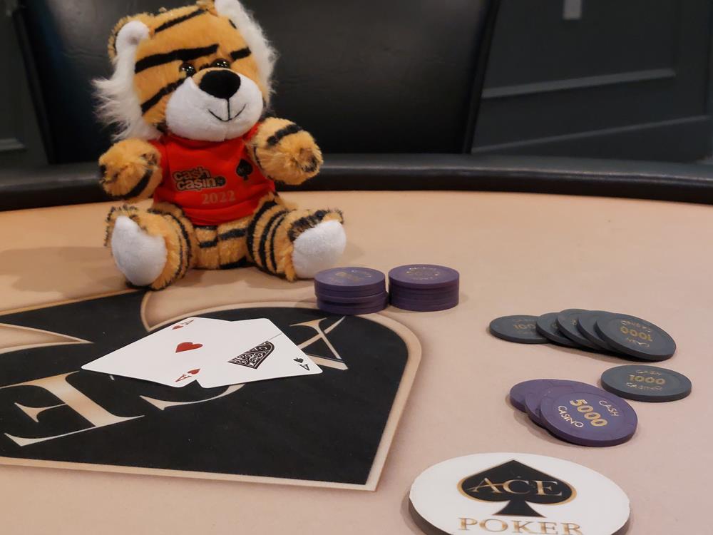 Customer photo from Marie of our Furry Fella - Tiger, a stuffed tiger sitting next to poker chips and cards