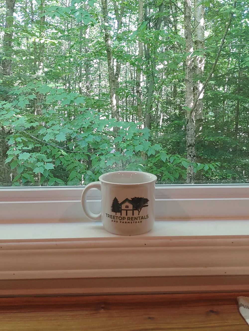 a mug on a window sill