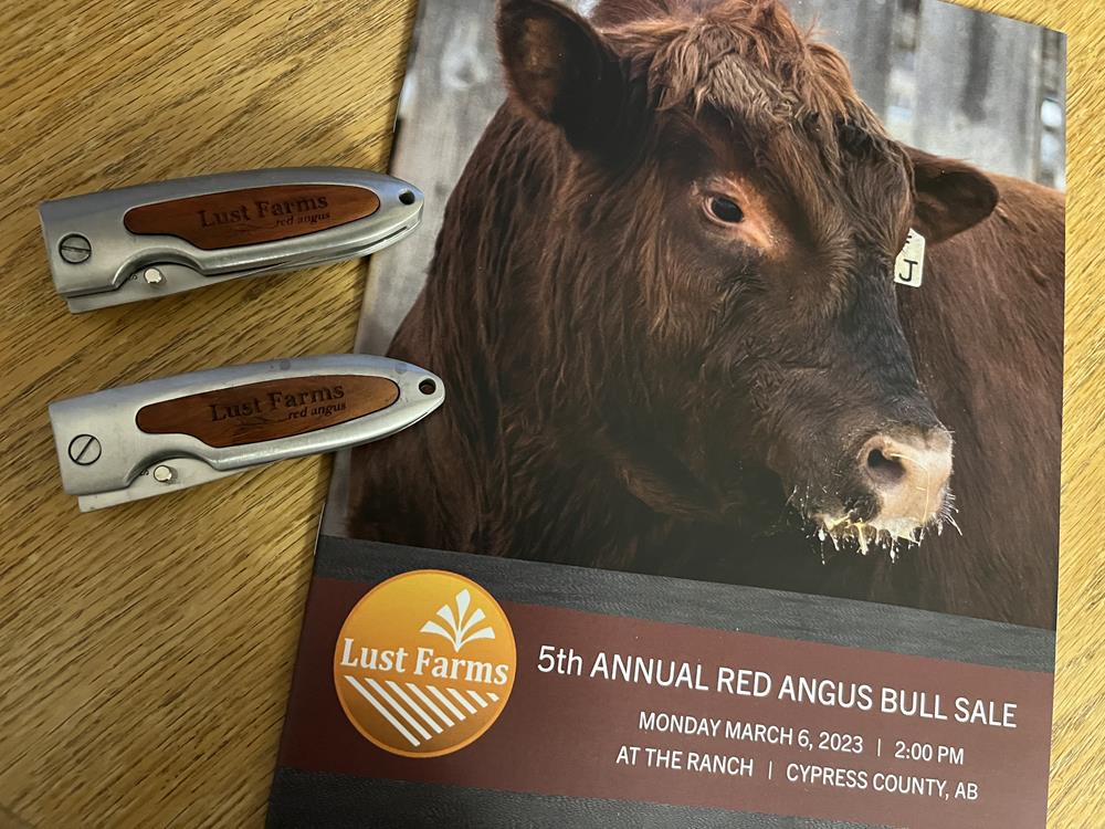 Customer photo from Sheila of our Rosewood Pocket Knife, 