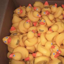 a box of yellow rubber ducks